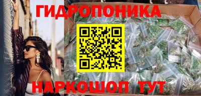 гашик Балахна