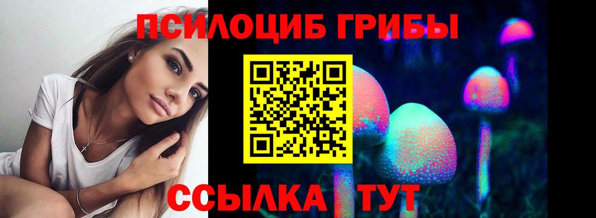 Гудермес  наркотики  Вход с VPN  Псилоцибиновые грибы MAGIC MUSHROOMS  Галлюциногенные грибы Psilocybine cubensis 